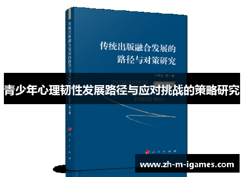 青少年心理韧性发展路径与应对挑战的策略研究 青少年心理韧性发展路径与应对挑战的策略研究