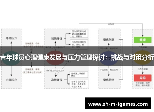 青年球员心理健康发展与压力管理探讨：挑战与对策分析