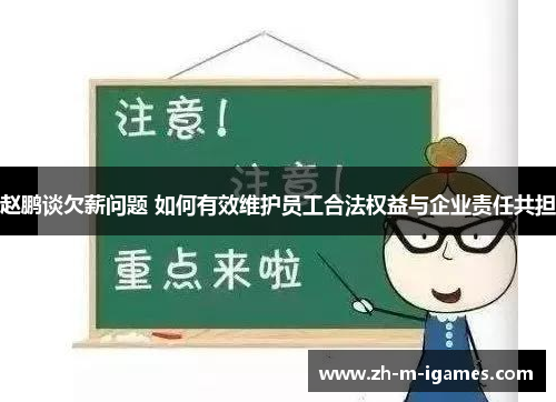 赵鹏谈欠薪问题 如何有效维护员工合法权益与企业责任共担